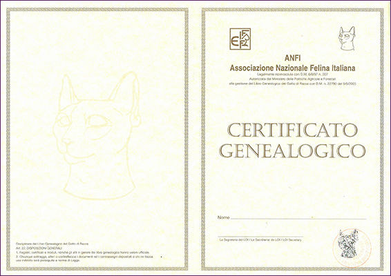Certificato genealogico